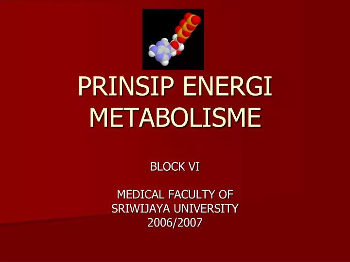 prinsip energi metabolisme