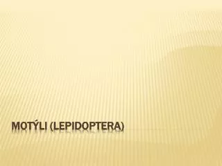mot li lepidoptera