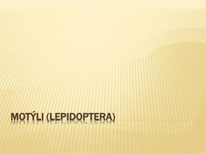 mot li lepidoptera