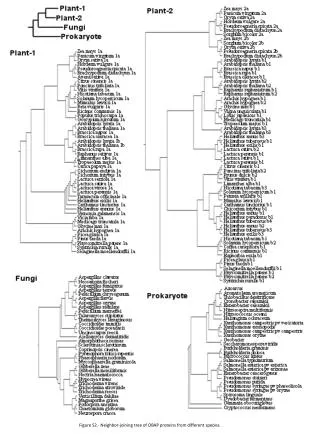 Figure S2.- Neighbor-joining tree of OBAP proteins from different species.