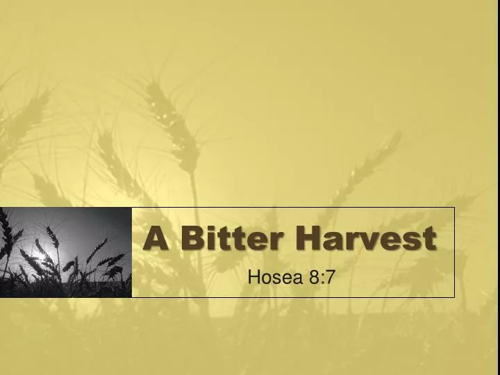 a bitter harvest