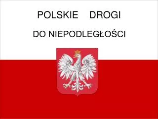 polskie drogi