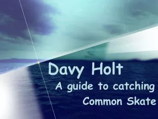 Davy Holt