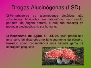 drogas alucin genas lsd