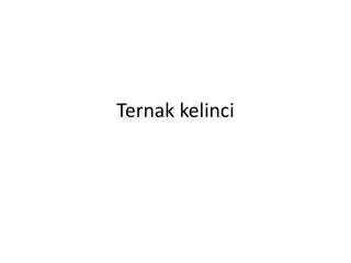 ternak kelinci