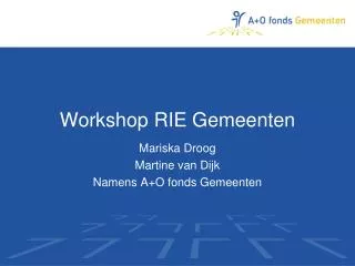 workshop rie gemeenten