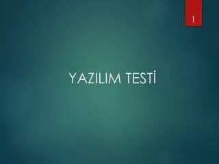 yazilim test