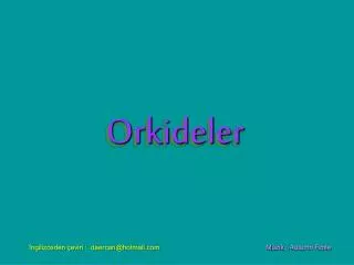 orkideler