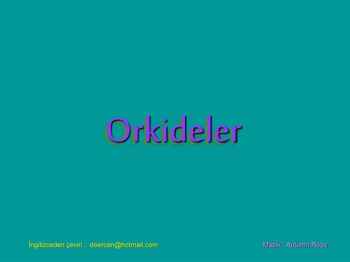 orkideler