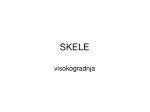 SKELE - slide 1