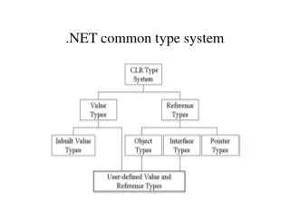 .NET common type system