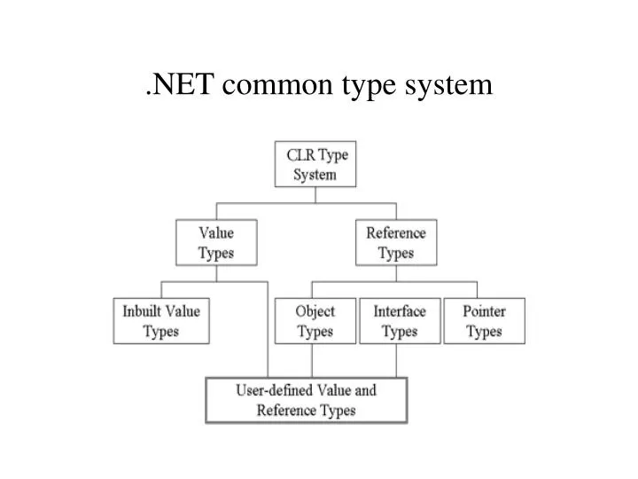 net common type system
