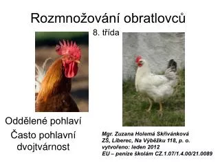 rozmno ov n obratlovc