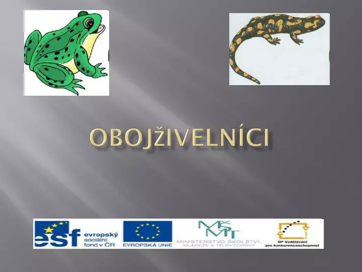 oboj iveln ci