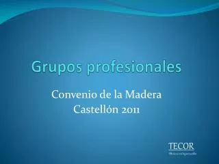 grupos profesionales