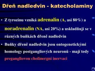 d e nadledvin katecholaminy
