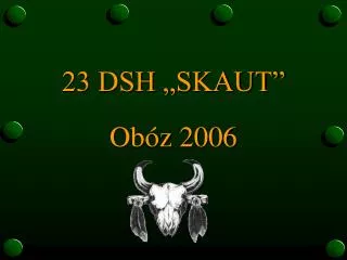 23 dsh skaut ob z 2006