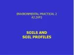 ENVIRONMENTAL PRACTICAL 2 A2.2VP2 - slide 1