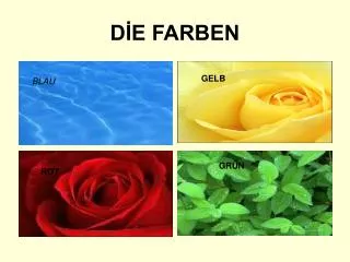 d e farben