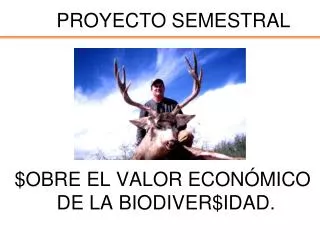 proyecto semestral