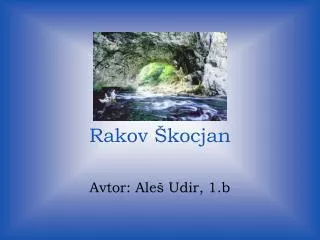 rakov kocjan