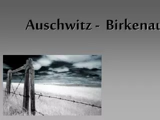auschwitz birkenau