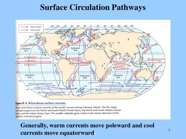 surface circulation pathways