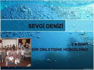 sevg den z