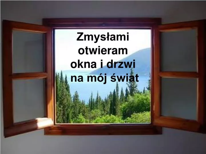 zmys ami otwieram okna i drzwi na m j wiat