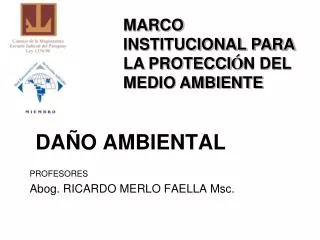 da o ambiental profesores abog ricardo merlo faella msc