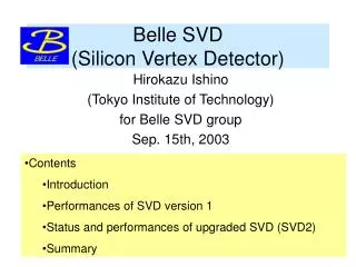 Belle SVD (Silicon Vertex Detector)