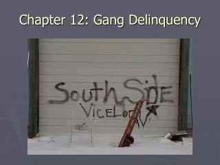 Chapter 12: Gang Delinquency