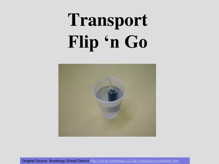transport flip n go