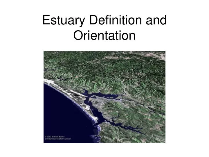 estuary definition and orientation