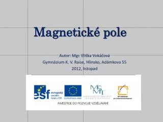 magnetick pole
