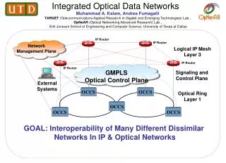 Integrated Optical Data Networks