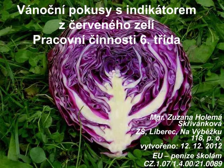 v no n pokusy s indik torem z erven ho zel pracovn innosti 6 t da