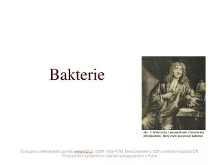 bakterie