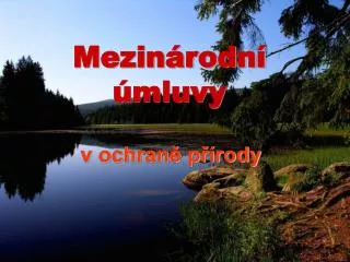mezin rodn mluvy