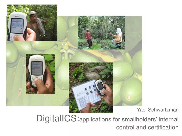 yael schwartzman digitalics applications for smallholders internal control and certification