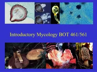 Introductory Mycology BOT 461/561