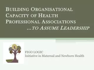FIGO LOGIC Initiative in Maternal and Newborn Health