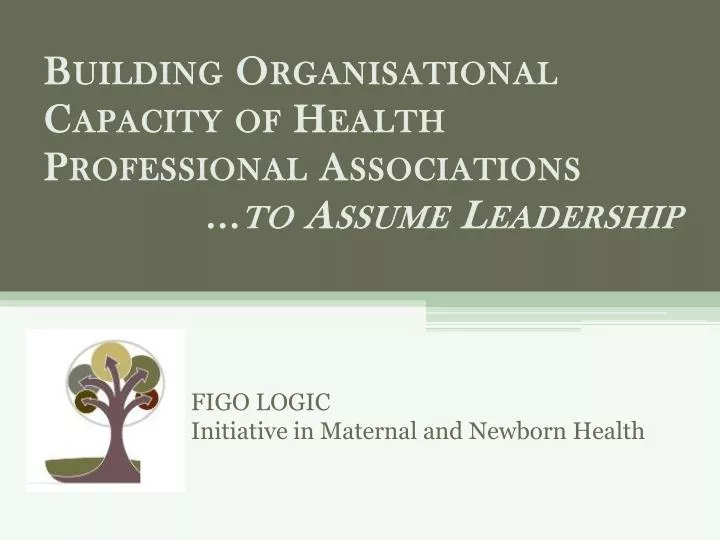figo logic initiative in maternal and newborn health