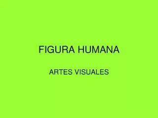 figura humana