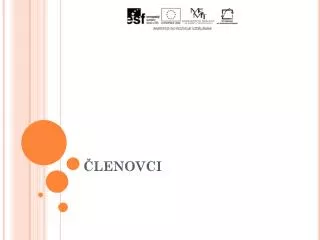 lenovci