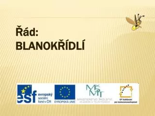 d blanok dl