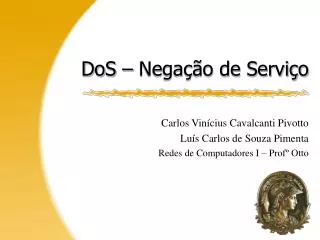 dos nega o de servi o