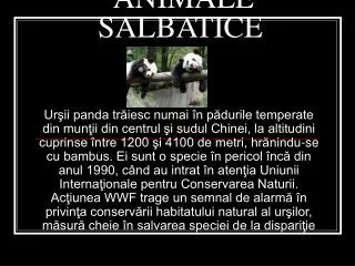anim ale salbatice