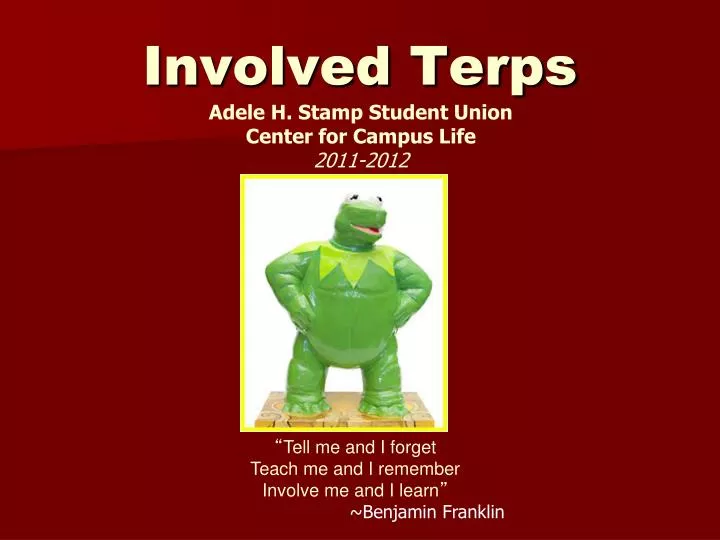 involved terps