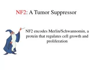 NF2 : A Tumor Suppressor